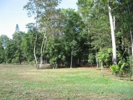 21 Forrest Drive, Forrest Beach QLD 4850