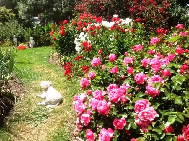 Third view of Homely house listing, 24 Robertson Street, Casterton VIC 3311