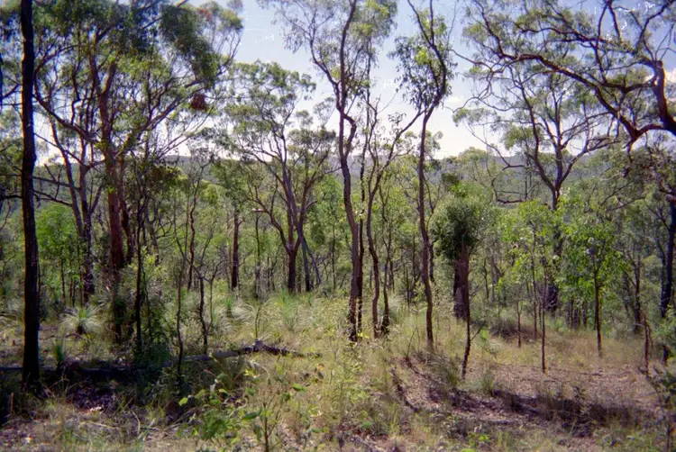 Sixth view of Homely land listing, Lot 232 Murphy Road, Captain Creek QLD 4677
