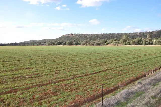 Second view of Homely rural property listing, "Ridge Top" Farm 1644 McPherson's Road, Beelbangera NSW 2680