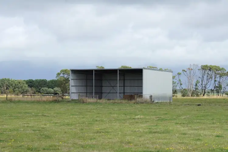 Fifth view of Homely rural property listing, 1056 Lavers Hill - Cobden Road, Jancourt East VIC 3266