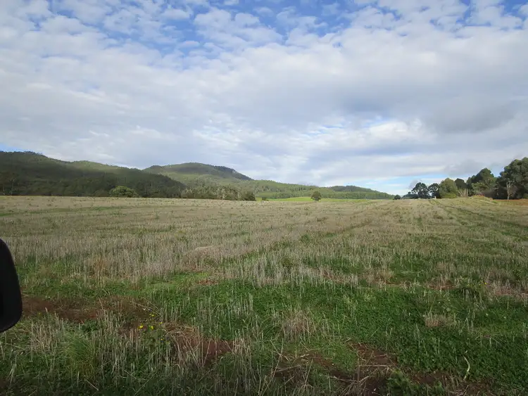 Fifth view of Homely rural property listing, 921 Pine Road, Riana TAS 7316