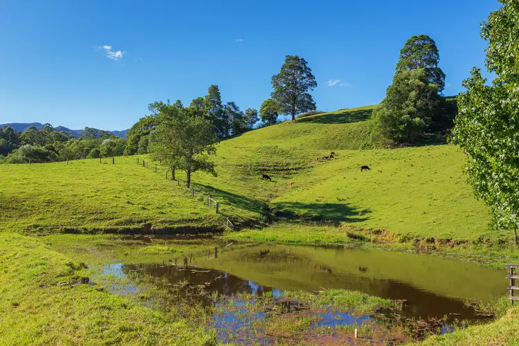 Fifth view of Homely rural property listing, 226 Mount Coxcombe Road, Upper Lansdowne NSW 2430