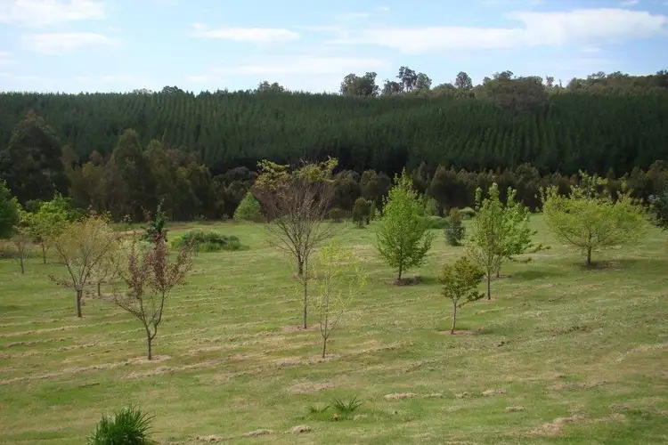 Seventh view of Homely rural property listing, Nelson 1232 Bolton-Gale Road, Bridgetown WA 6255
