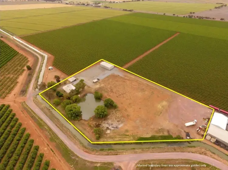 Main view of Homely house listing, 46 Dooley Road, Leeton NSW 2705