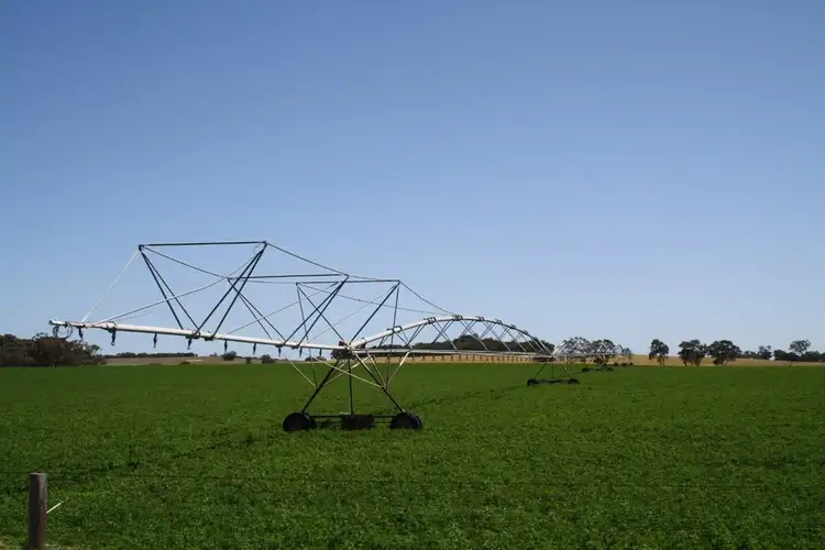 Fifth view of Homely rural property listing, 828 Padthaway Road, Mundulla SA 5270