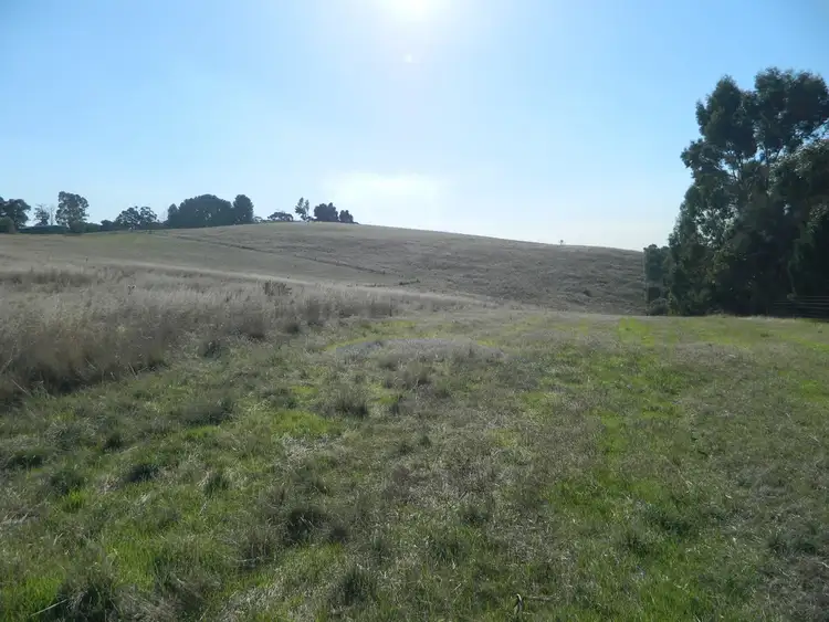 Second view of Homely land listing, Allotment Comprising Pieces 43 & 46 Riggs Road, Bibaringa SA 5118