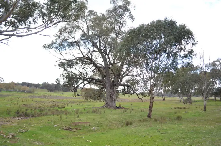 Second view of Homely rural property listing, Address available on request