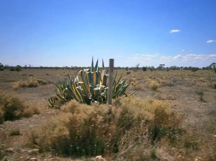 Second view of Homely rural property listing, Lot 39 McKay Road, Blanchetown SA 5357