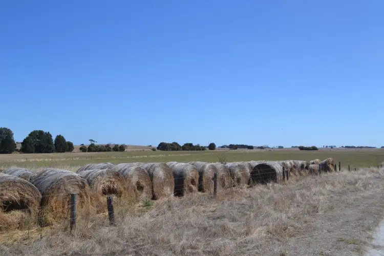 Seventh view of Homely rural property listing, Sec 112 & 322 Mount Hope Road, Rendelsham SA 5280