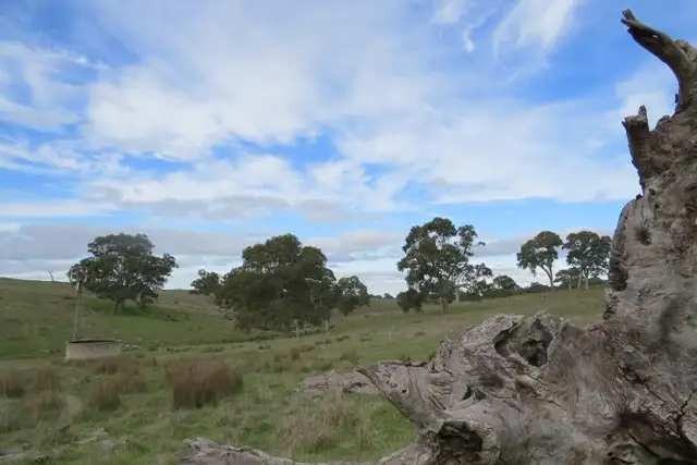 Fifth view of Homely land listing, 1383 Wiles Fire Track, Wistow SA 5251