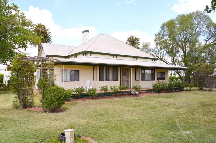 Main view of Homely rural property listing, 162 Main Avenue S, Merbein VIC 3505