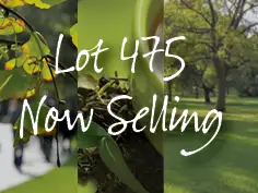 Lot 475 Edmonton Loop, Baldivis WA 6171