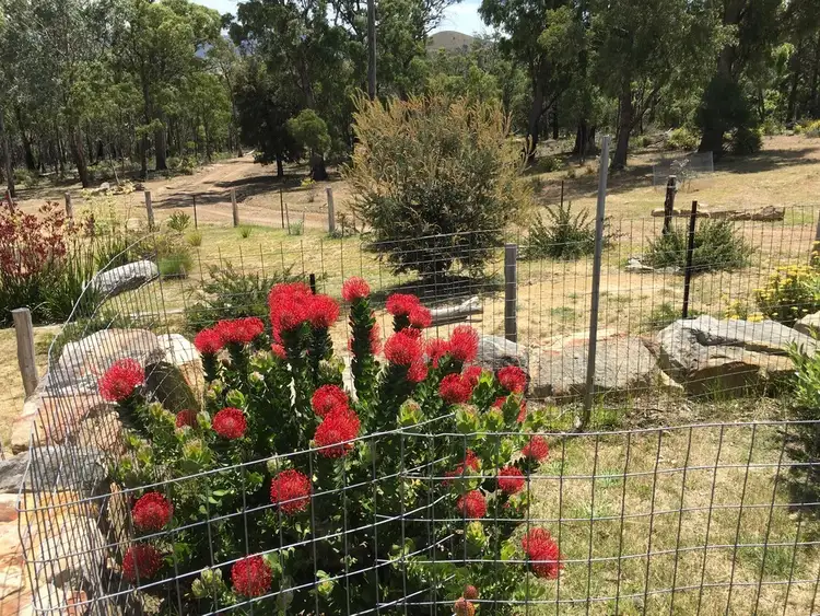 Fourth view of Homely house listing, 201 Springvale Road, Campania TAS 7026