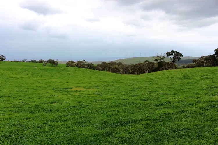 Third view of Homely rural property listing, Allotment 4 9058 Main South Rd, Delamere SA 5204