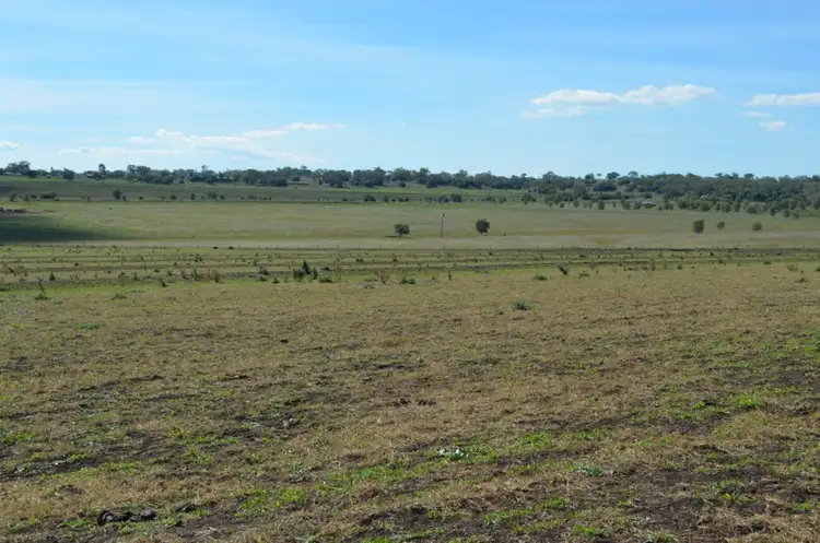 Seventh view of Homely rural property listing, 0 Scrubby Mountain Road, Pittsworth QLD 4356