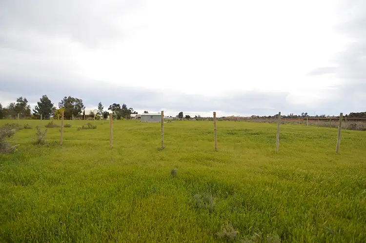 Lot 3 River Road, Dareton NSW 2717