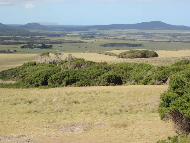 Fifth view of Homely rural property listing, 820 Lady Barron Road, Flinders Island TAS 7255