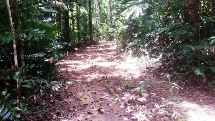 Seventh view of Homely land listing, 8 Buchanan Creek Rd, Daintree QLD 4873