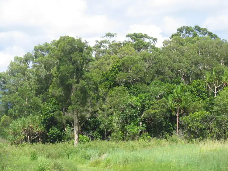 Third view of Homely land listing, l25 Pine Cr Rd, East Trinity QLD 4871