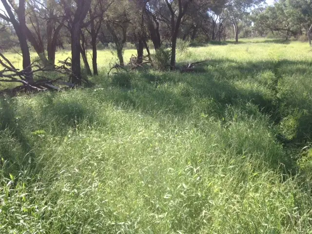 Second view of Homely rural property listing, '' PENAROO", Eulo QLD 4491