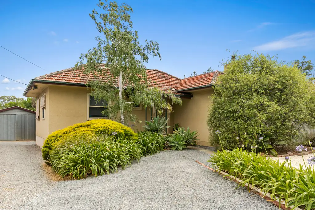 Main view of Homely house listing, 13 Rugby Street, Pasadena SA 5042