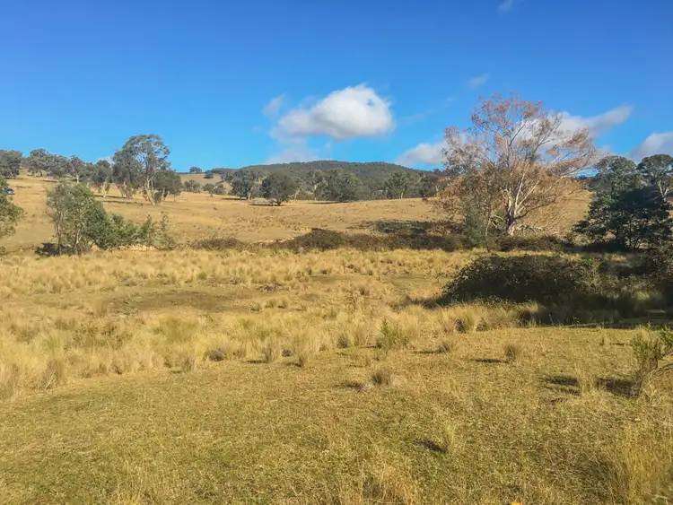 Fifth view of Homely rural property listing, 1567 Campbells Creek Road, Mudgee NSW 2850
