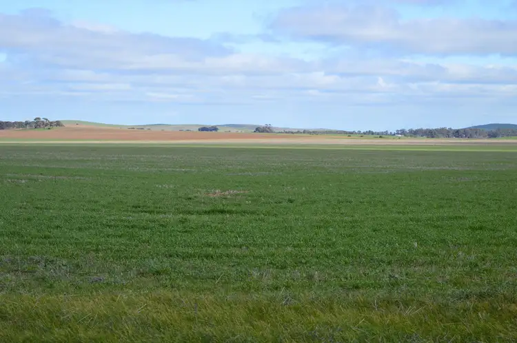 Main view of Homely rural property listing, Block 535 BOUNDARY ROAD WEST, MARIENE & PARADOXA ROADS, Hallett SA 5419
