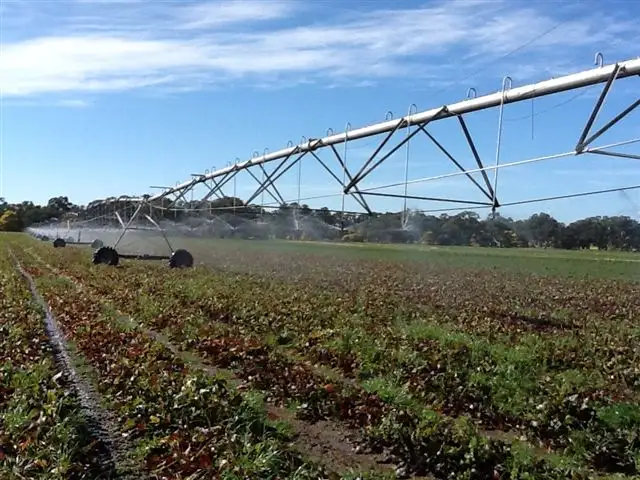 Main view of Homely rural property listing, 00 Elderslie Road, Naracoorte SA 5271