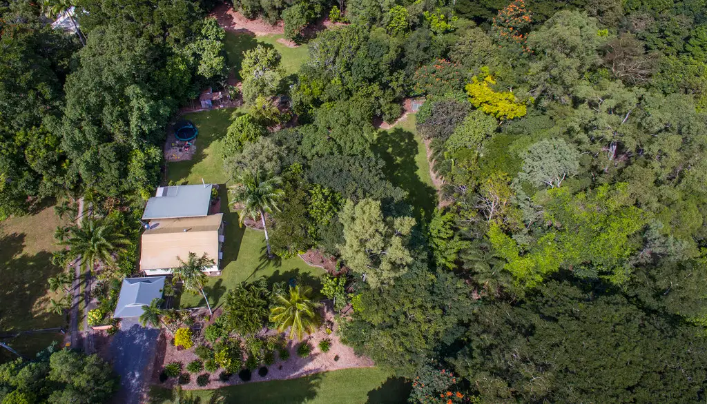 Main view of Homely house listing, 336 Mowbray River Road, Mowbray QLD 4877