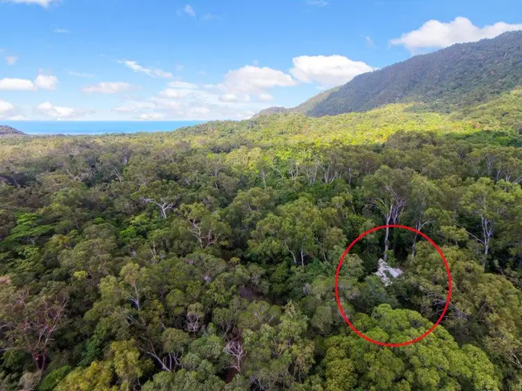 Second view of Homely house listing, 163 (49) Wattle Close, Daintree QLD 4873