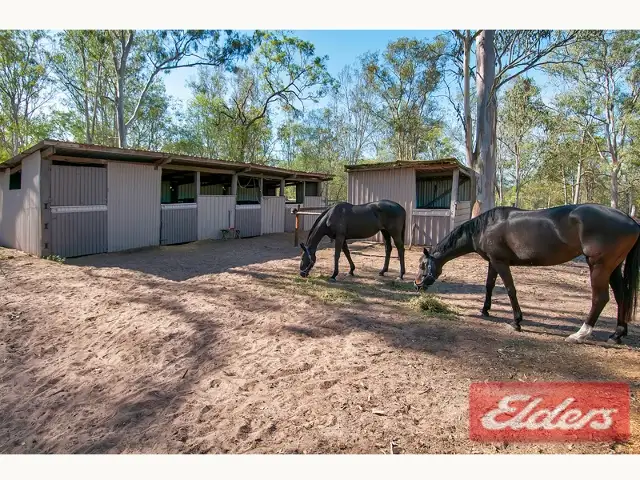 Second view of Homely house listing, 283-291 Mountain Ridge Road, South Maclean QLD 4280