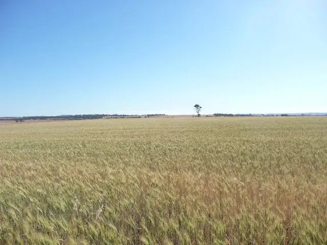 Seventh view of Homely rural property listing, Lot 801 Parker Road, York WA 6302