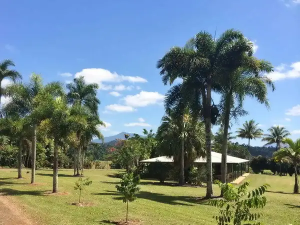 Main view of Homely rural property listing, Address available on request