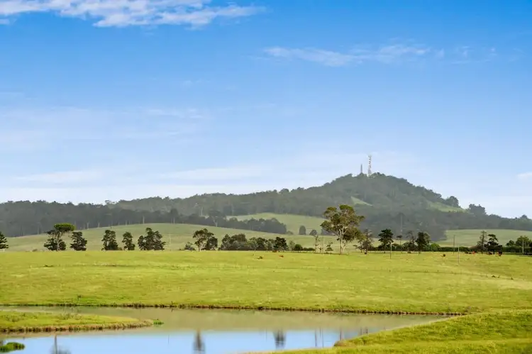 Third view of Homely house listing, 10 Andrew Court, Rutherford NSW 2320