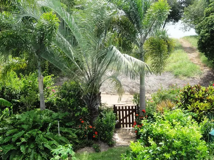 Main view of Homely house listing, 92 Gloucester Avenue, Hideaway Bay QLD 4800