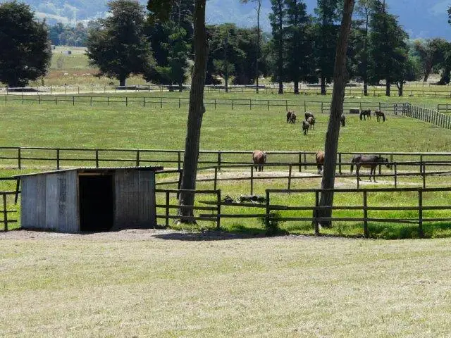 Third view of Homely rural property listing, 16-18 Coldstream West Road, Coldstream VIC 3770