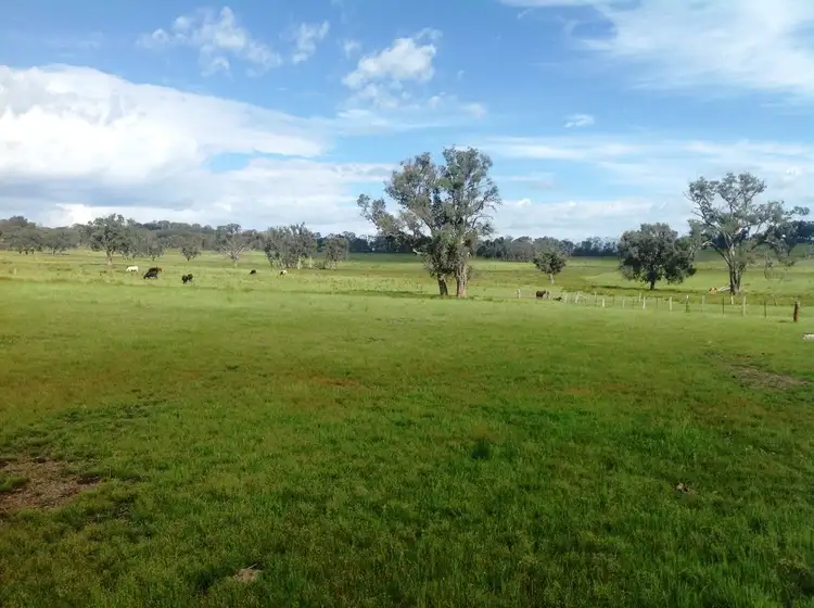 Fourth view of Homely rural property listing, "Dalveen" New England Highway, Bendemeer NSW 2355