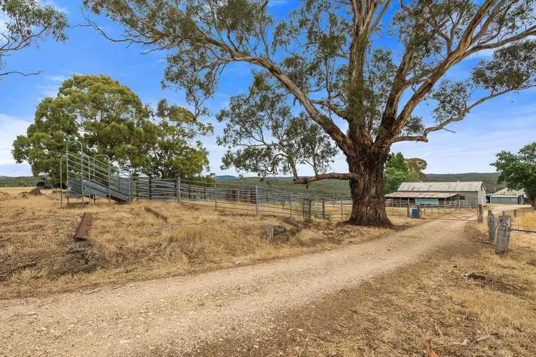 Sixth view of Homely rural property listing, 127 Hopkins Road, Glenluce VIC 3451
