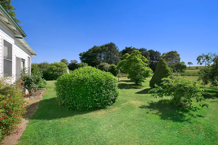 Fifth view of Homely rural property listing, 1114 Black Mountain Road, Black Mountain NSW 2365