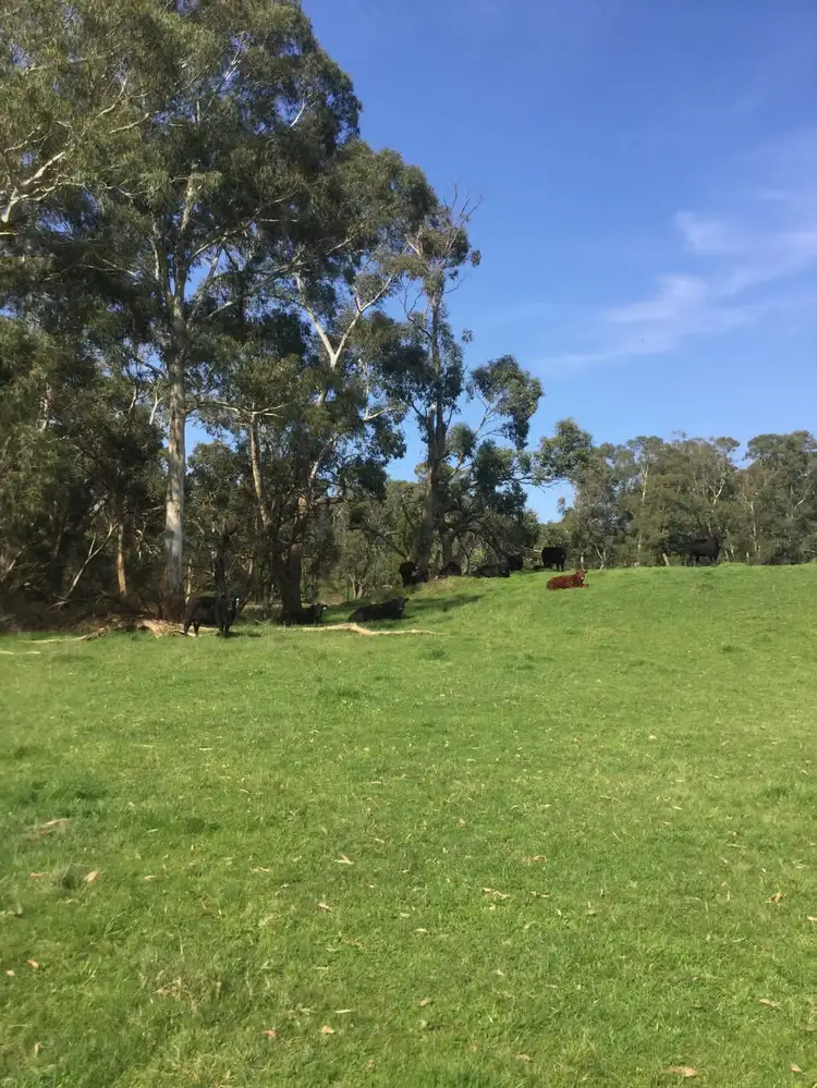 Fourth view of Homely rural property listing, 1187 Murrindindi Road, Murrindindi VIC 3717