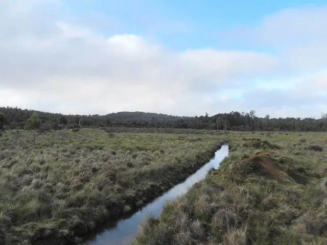 Lot 1 Waratah Road, Waratah TAS 7321