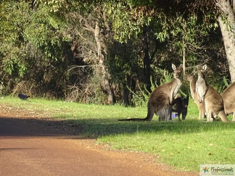 Third view of Homely land listing, 15 Venn Street, Collie WA 6225