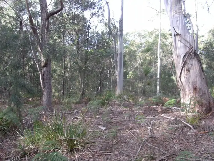 Seventh view of Homely rural property listing, Lot 1 Tasman Hwy, Bicheno TAS 7215