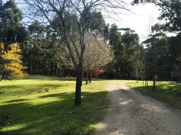 Second view of Homely house listing, 285 BACK CORRINGLE RD, NEWMERELLA, Orbost VIC 3888