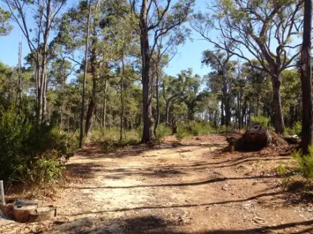 Fourth view of Homely land listing, 5 (Lot 319) Wandoo Place, Cowaramup WA 6284