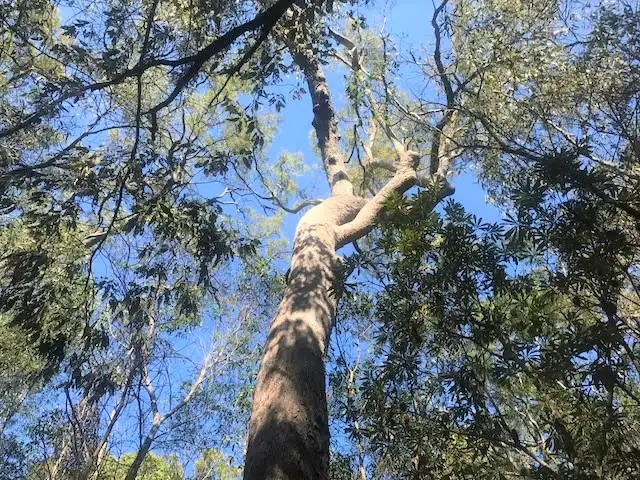 Third view of Homely land listing, 301 Masthead Drive, Agnes Water QLD 4677