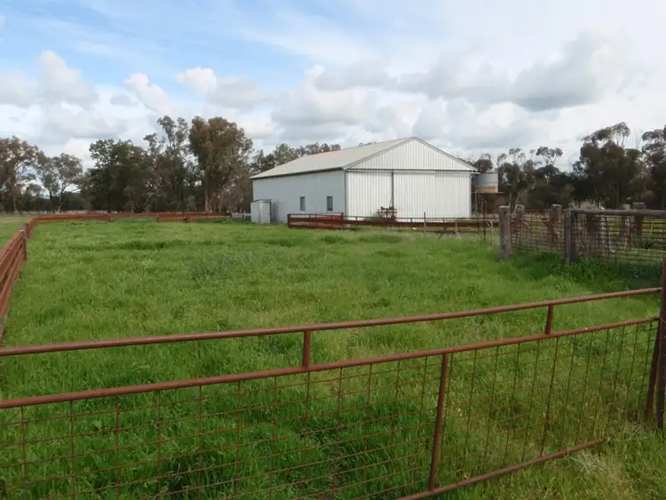 Sixth view of Homely rural property listing, 927 Yarrawonga Road, Berrigan NSW 2712