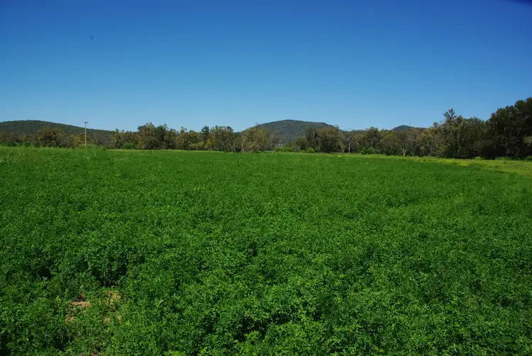 Second view of Homely rural property listing, 1 Maxwell Street, Wellington NSW 2820