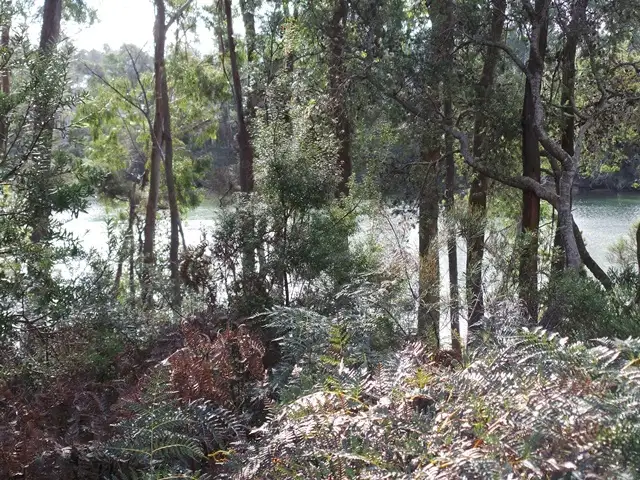 Third view of Homely land listing, Lot 14 Panatana Drive, Port Sorell TAS 7307
